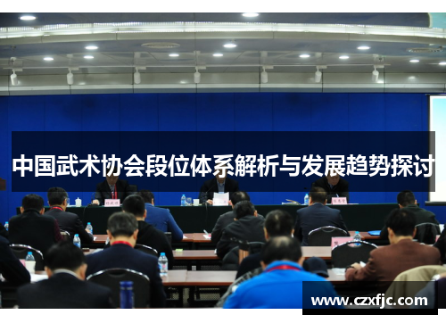 中国武术协会段位体系解析与发展趋势探讨