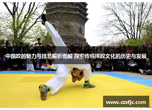 中国跤的魅力与技艺解析图解 探索传统摔跤文化的历史与发展
